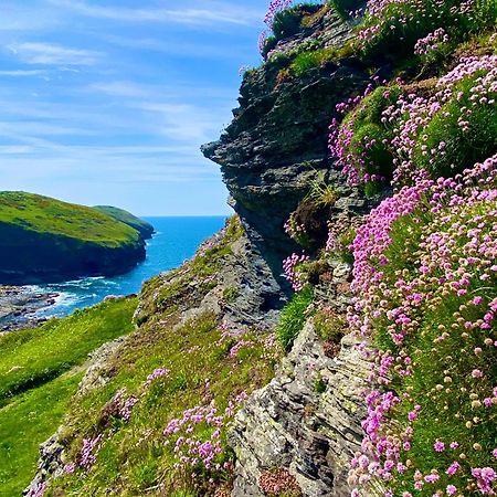 Polrunny Farm Blackberry Cottage - Cornwall Bliss In Sight Of The Sea Boscastle Eksteriør billede