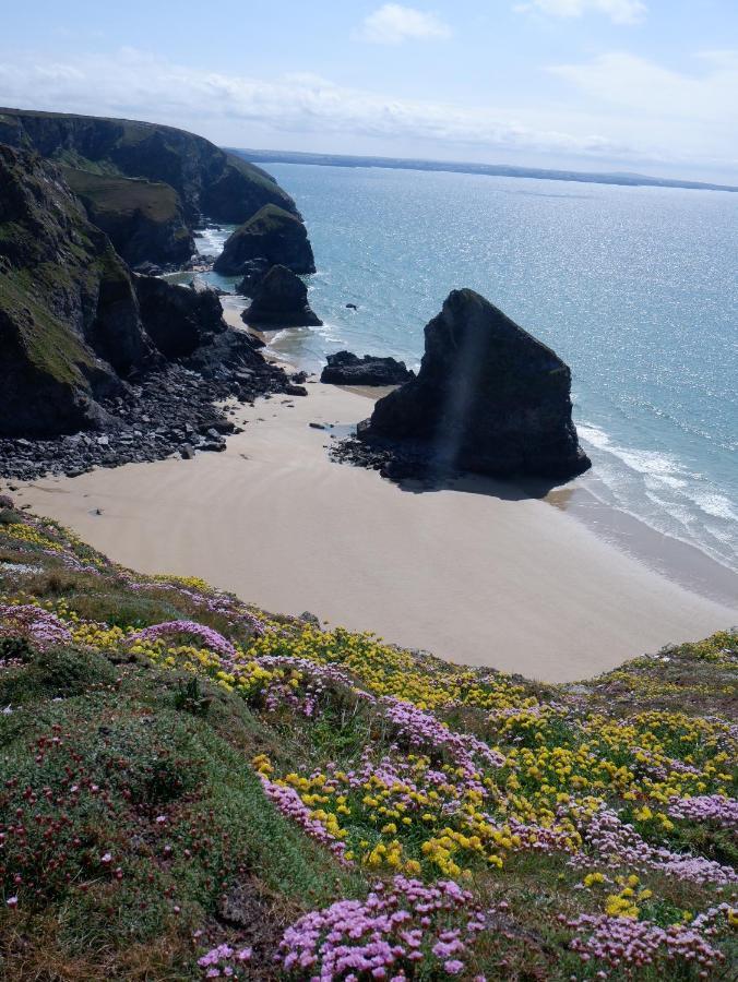 Polrunny Farm Blackberry Cottage - Cornwall Bliss In Sight Of The Sea Boscastle Eksteriør billede