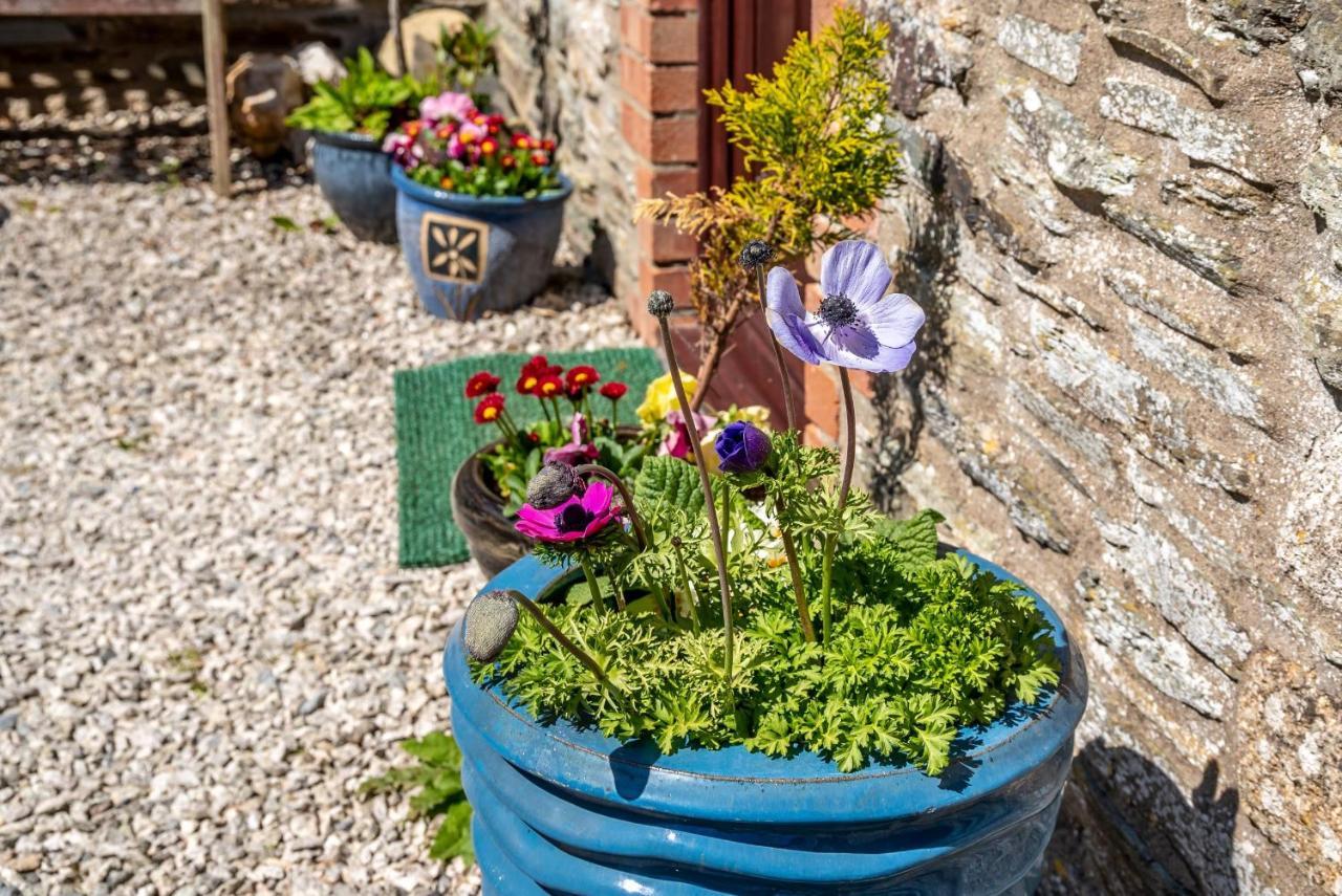 Polrunny Farm Blackberry Cottage - Cornwall Bliss In Sight Of The Sea Boscastle Eksteriør billede