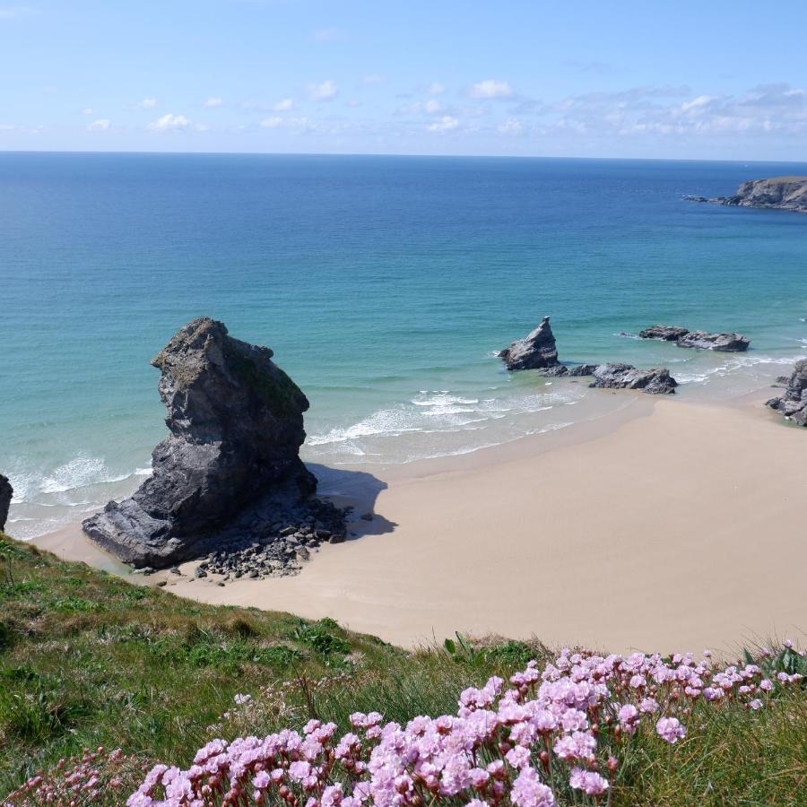 Polrunny Farm Blackberry Cottage - Cornwall Bliss In Sight Of The Sea Boscastle Eksteriør billede
