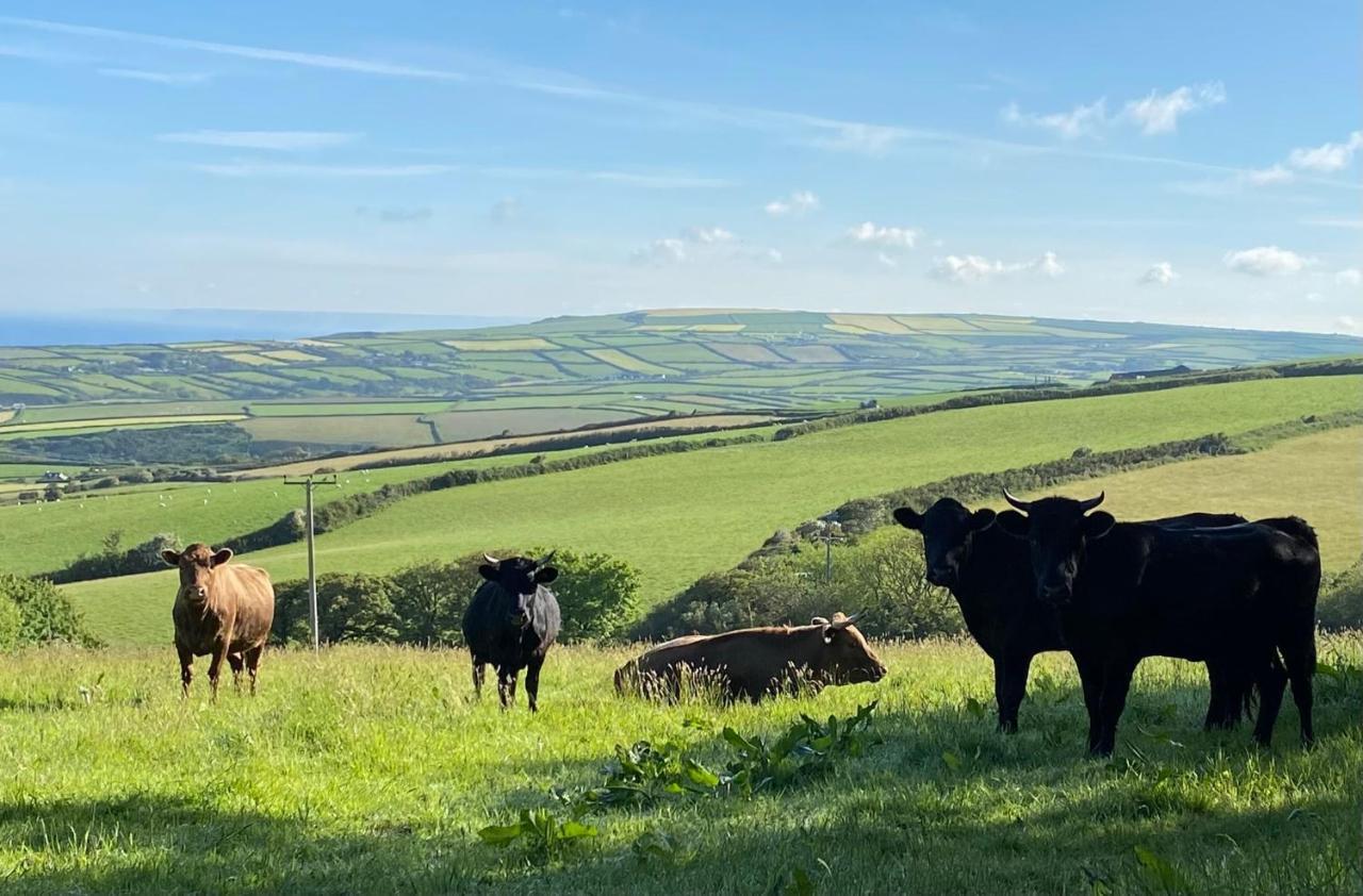 Polrunny Farm Blackberry Cottage - Cornwall Bliss In Sight Of The Sea Boscastle Eksteriør billede