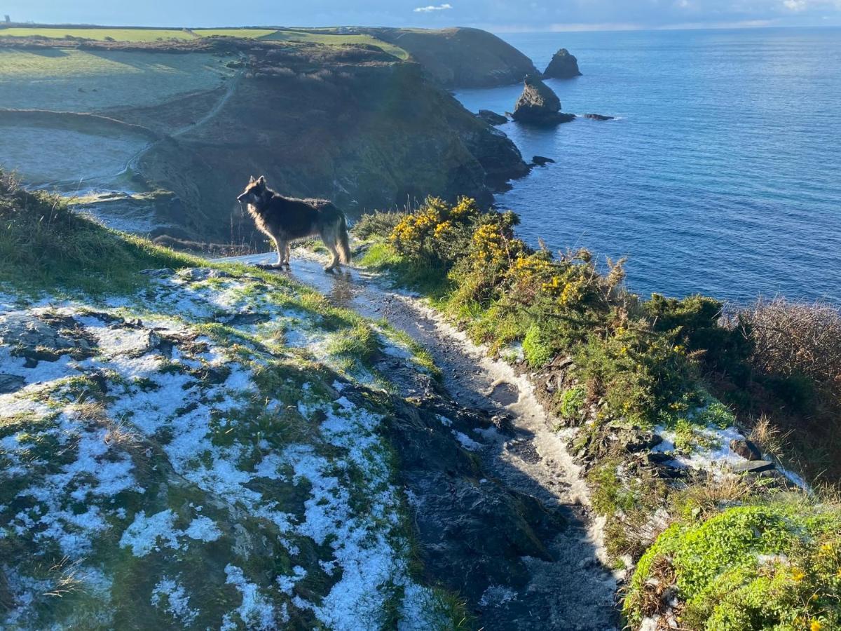 Polrunny Farm Blackberry Cottage - Cornwall Bliss In Sight Of The Sea Boscastle Eksteriør billede